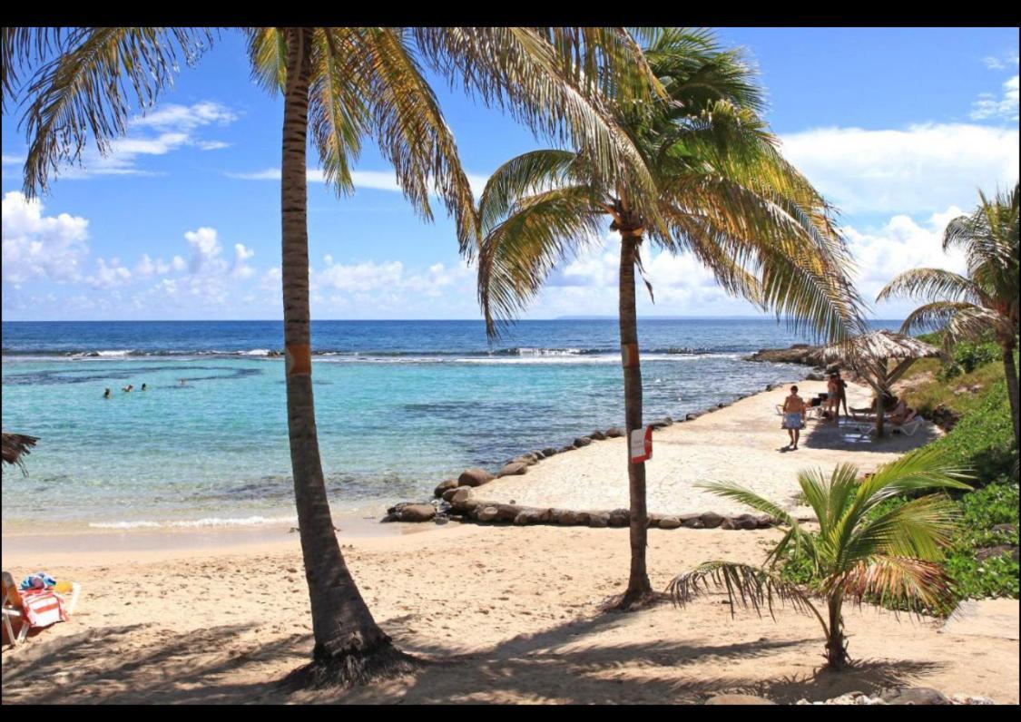 Gwada Cocoon & Blue Lagoon, 2 Studios Cote A Cote Au Manganao A St Francois & Choisissez Le Plus Adapte Saint-Francois  Exteriér fotografie